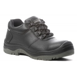 CHAUSS BASSE FREEDITE - 9FREL